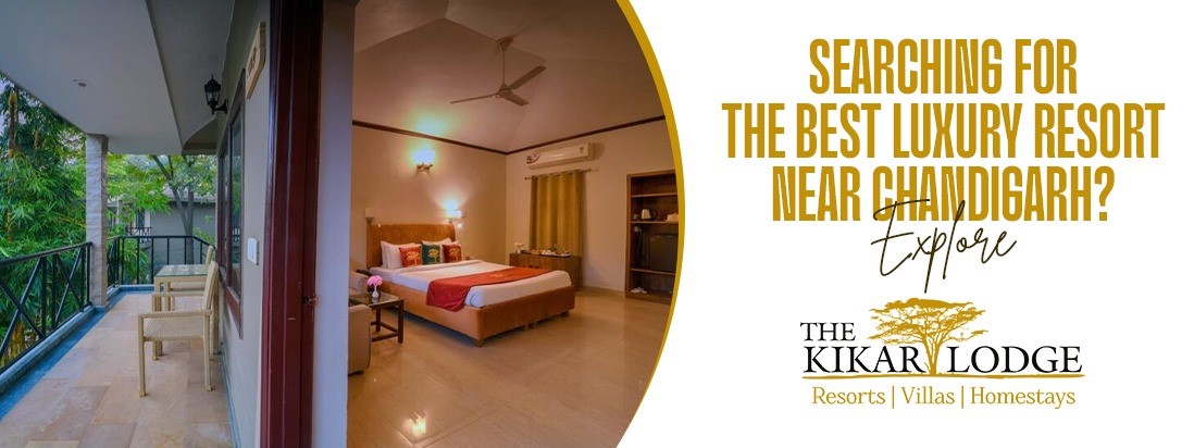 Searching for the Best luxury resort near Chandigarh? Explore The Kikar Lodge