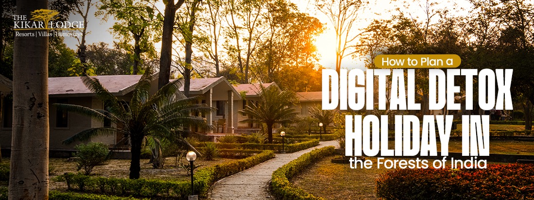 How to Plan a Digital Detox Holiday in the Forests of India