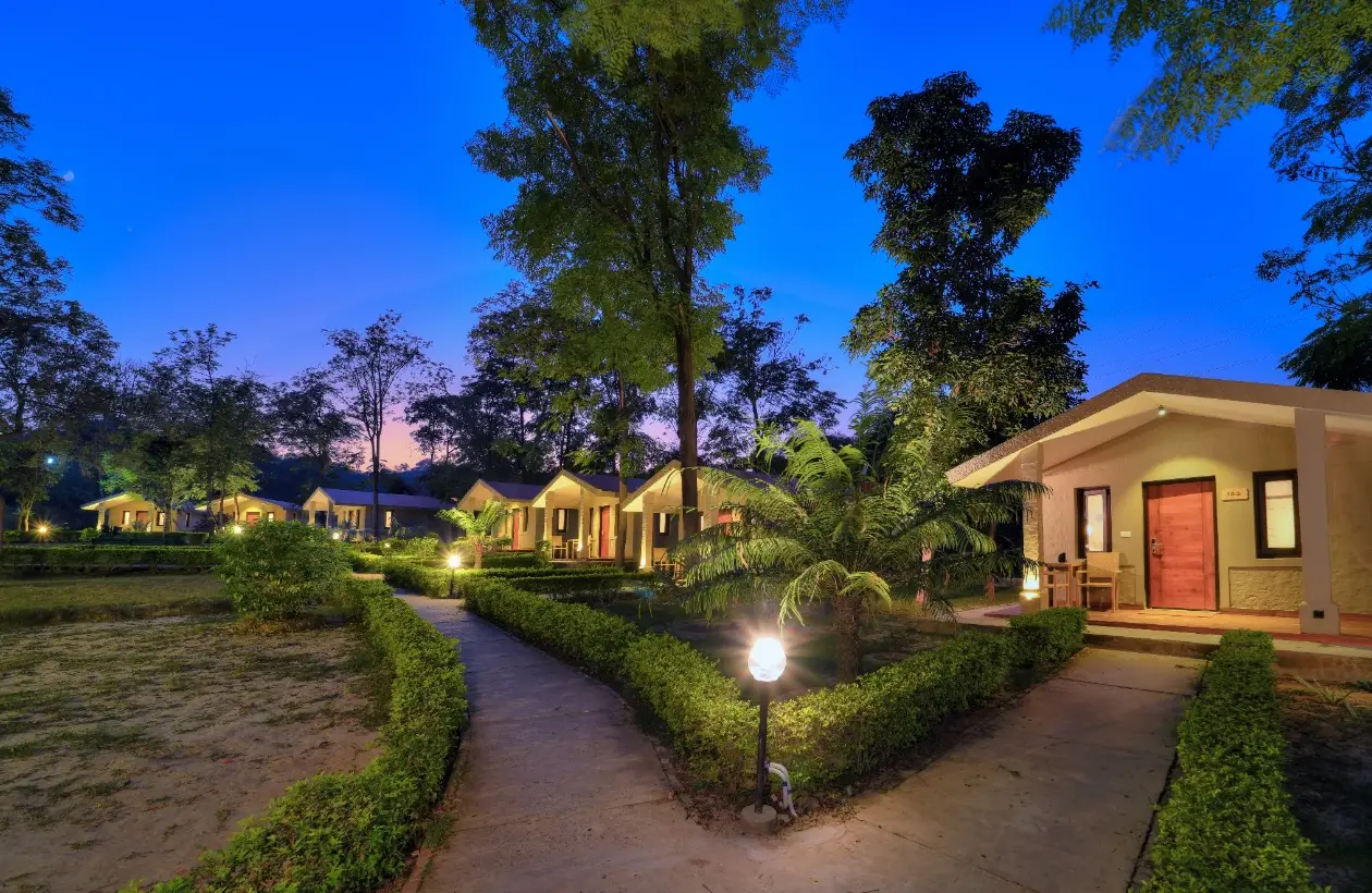 Forest View Cottage